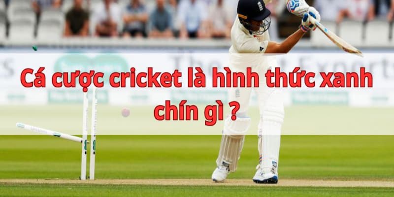 Cá Cược Cricket Tại Sao Cá Cược Cricket Tại SOC88 Lại Hấp Dẫn?