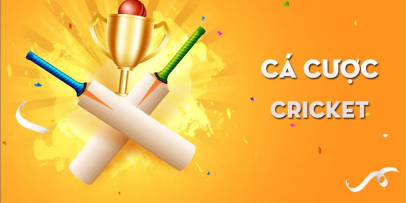 Cá Cược Cricket Lý Do Chọn SOC88 Để Cá Cược Cricket